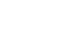 logo100